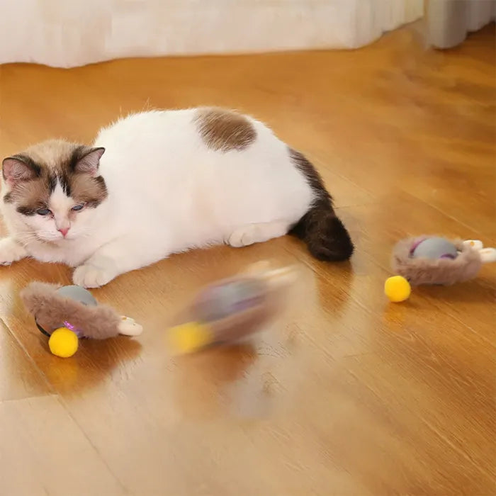 🎁 Smart Automatic Rolling Pet Ball🐱🐶: The Ultimate Self-Moving Christmas Gift! Interactive Indoor Fun & Puppy Energy Burner 🎅